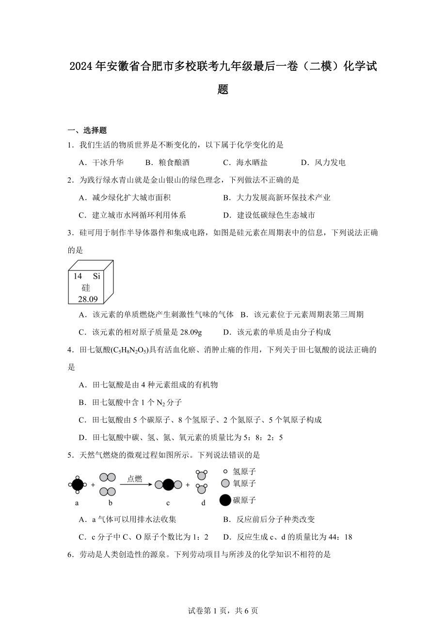 2024年安徽省合肥市多校联考九年级最后一卷(二模)化学试题.docx_第1页