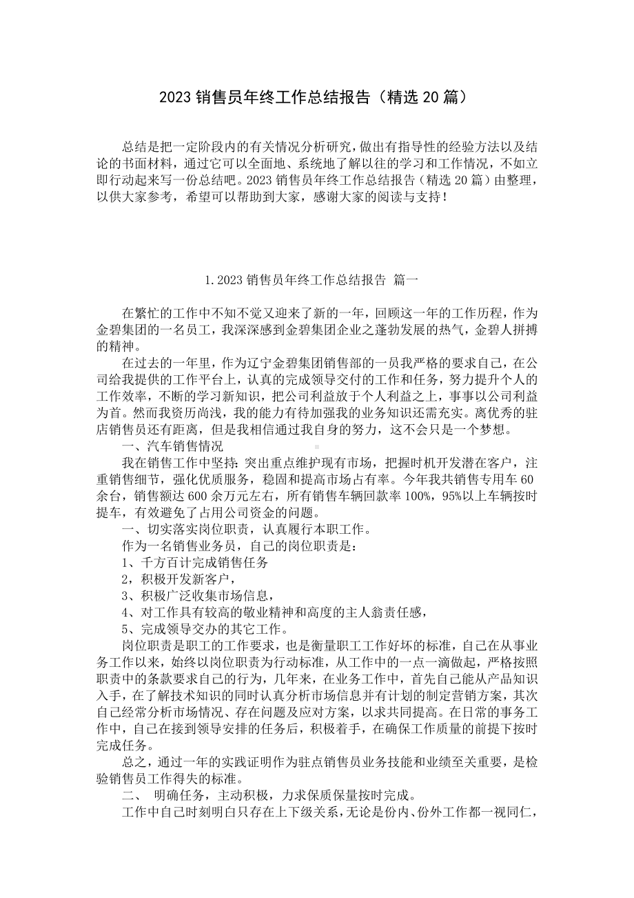 2023销售员年终工作总结报告（精选20篇）.docx_第1页