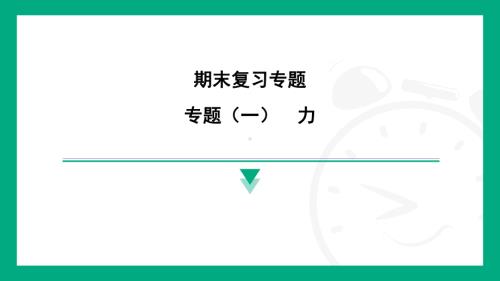 专题（一）　力 达标训练课件 2024-2025学年度人教版物理八年级下册.pptx