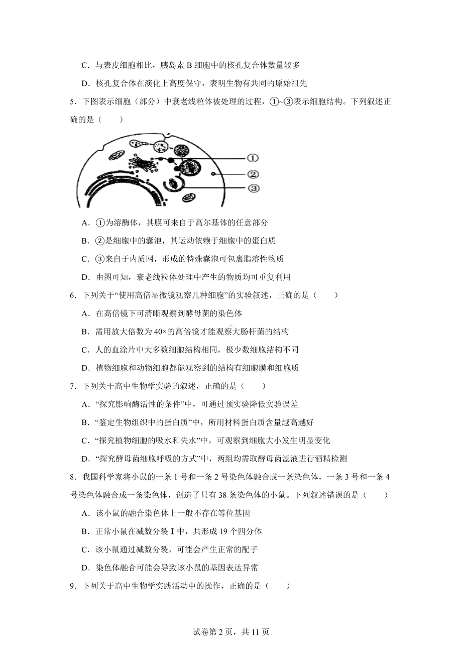 江苏省无锡市2024-2025年高三上学期期中考试生物试题.docx_第2页