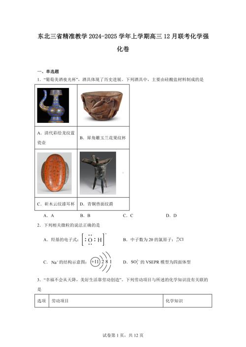 东北三省精准教学2024-2025学年上学期高三12月联考化学强化卷.docx