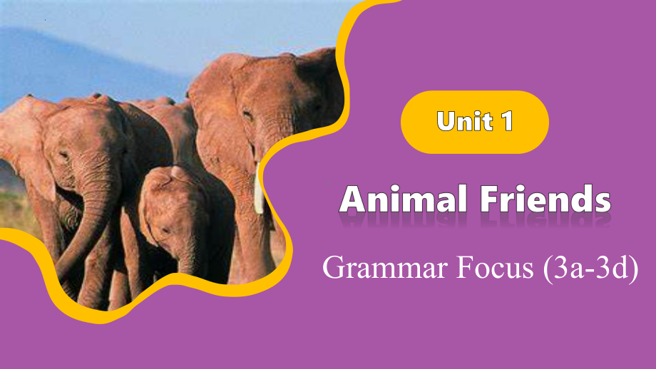 Unit1 Section A Grammar Focus 课件ppt-_2025新人教版七年级下册《英语》.pptx_第1页