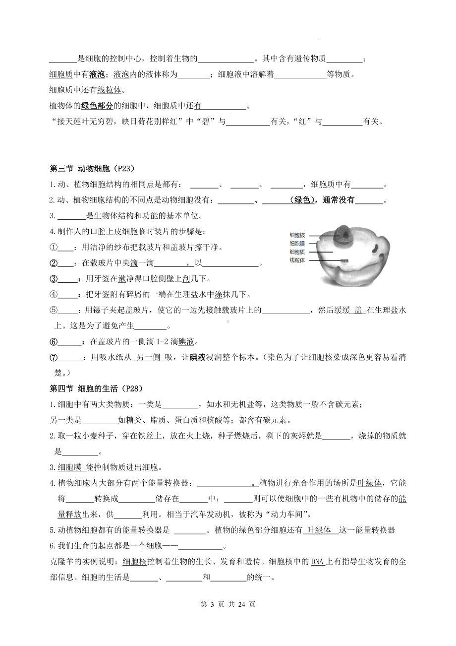 人教版（2024新版）七年级上册生物期末复习知识点朝纲填空练习题版（含答案）.docx_第3页