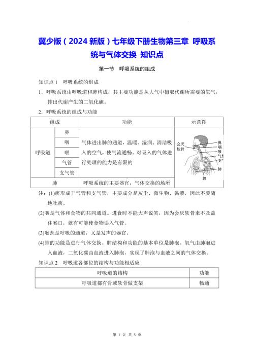 冀少版（2024新版）七年级下册生物第三章 呼吸系统与气体交换 知识点.docx