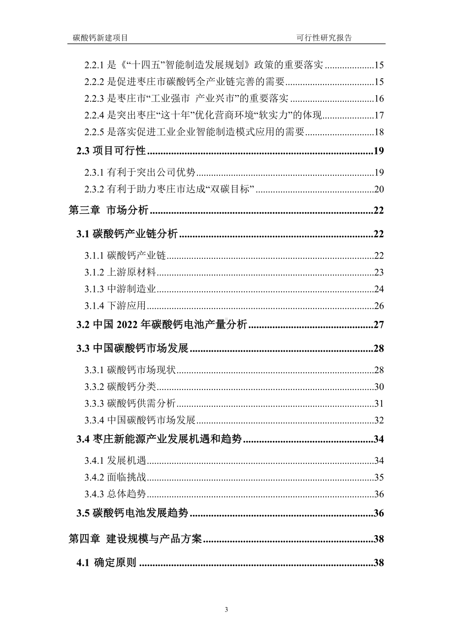 碳酸钙建议书可行性研究报告备案可修改案例模板.doc_第3页