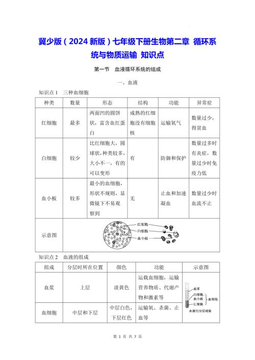 冀少版（2024新版）七年级下册生物第二章 循环系统与物质运输 知识点.docx