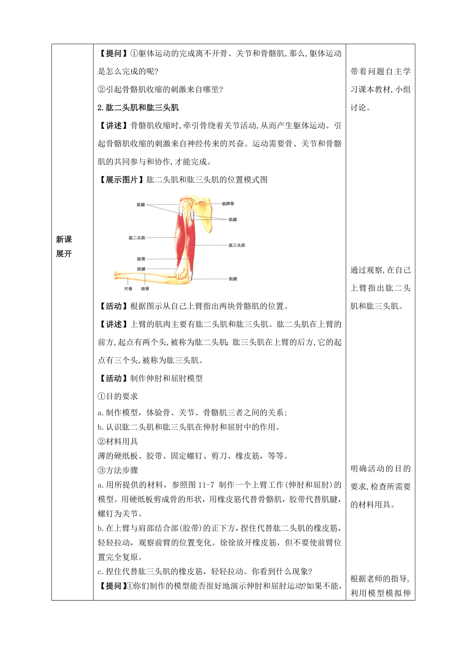 11.3人体的骨骼肌（教案）2024-2025学年北师大版生物七年级下册 (3).docx_第2页