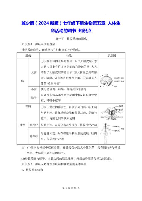 冀少版（2024新版）七年级下册生物第五章 人体生命活动的调节 知识点.docx