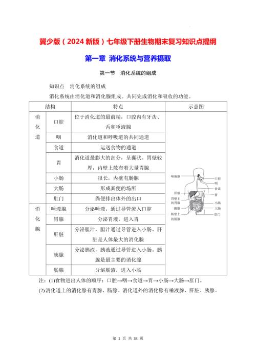 冀少版（2024新版）七年级下册生物期末复习知识点提纲详细版.docx