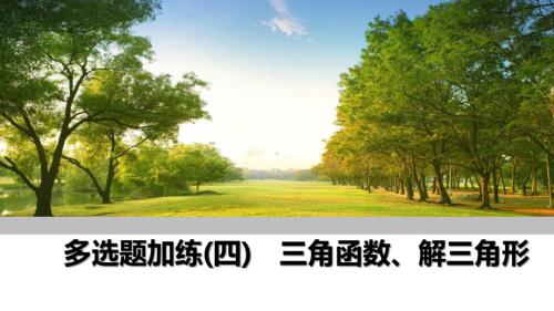 2025高考数学一轮复习-多选题加练(四)三角函数、解三角形ppt课件.pptx