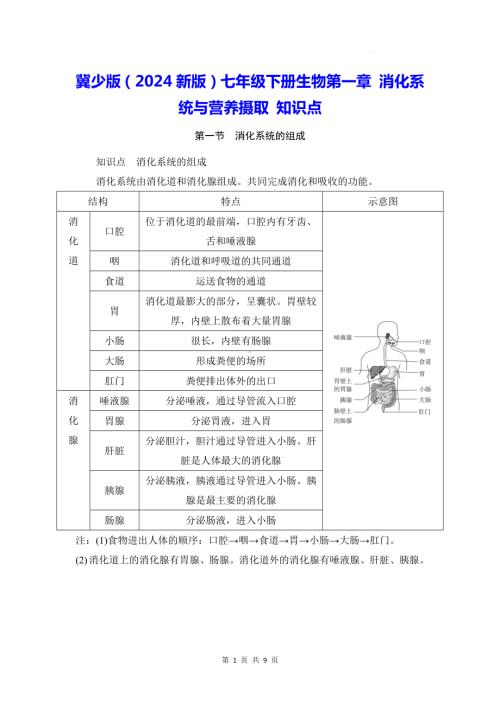 冀少版（2024新版）七年级下册生物第一章 消化系统与营养摄取 知识点.docx