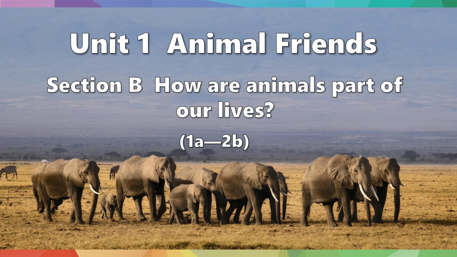 Unit 1Animal Friends Lesson 3（课件）2024-2025学年度人教版英语七年级下册 (2).pptx_第1页