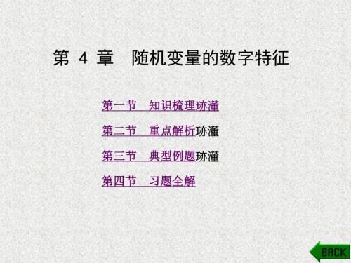 《概率论与数理统计学习指导及习题解析》课件第4章.ppt