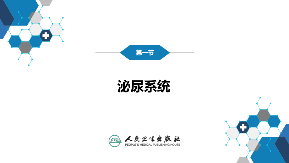 第八章 泌尿生殖系统与腹膜后间隙 第一节 泌尿系统 ppt课件-人卫版《医学影像学》.pptx_第3页