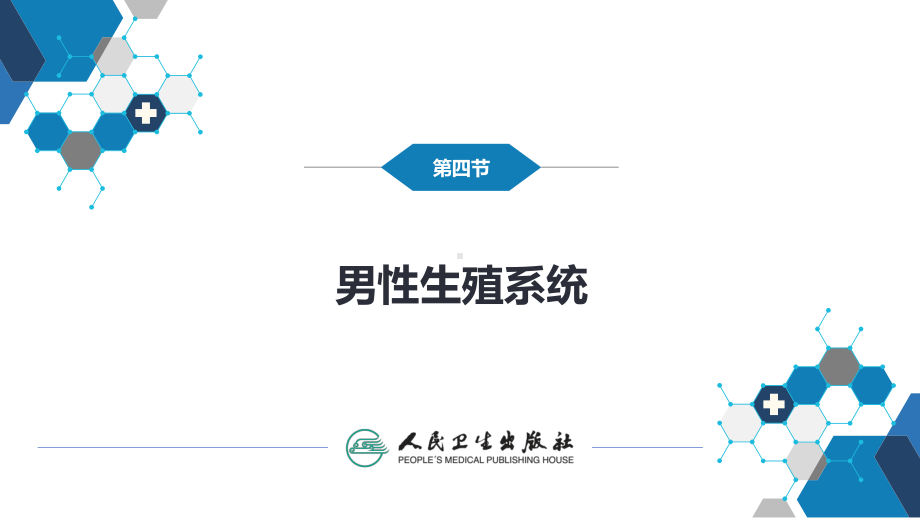 第八章 泌尿生殖系统与腹膜后间隙 第四节 男性生殖系统 ppt课件-人卫版《医学影像学》.pptx_第3页