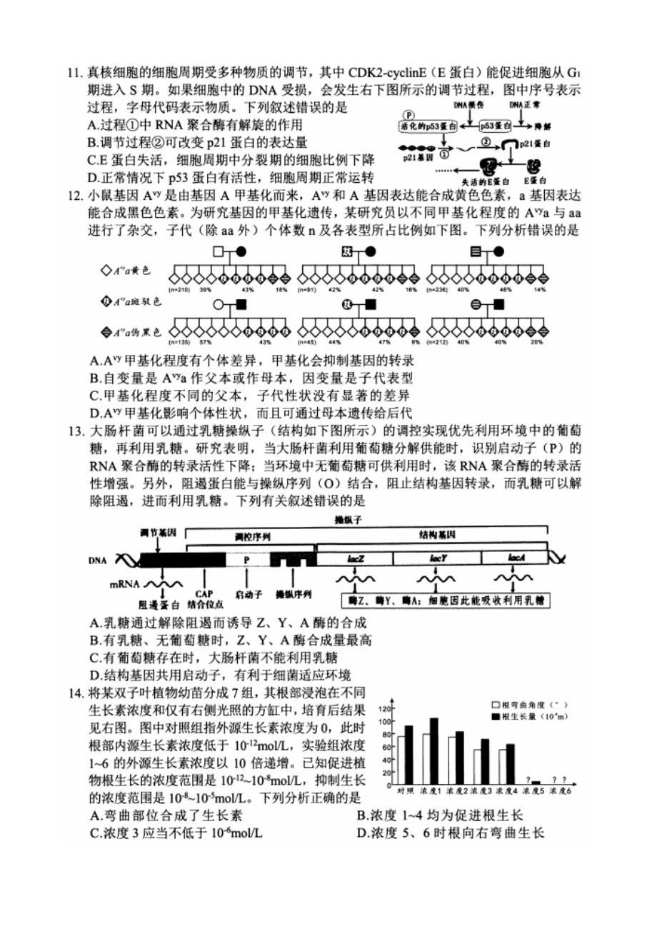 2025年绵阳二诊生物试卷.docx_第3页