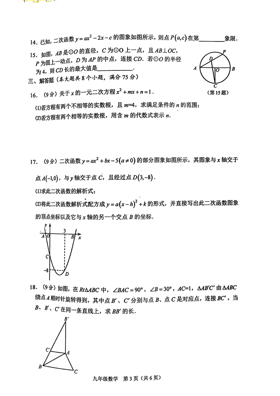 河南省周口市川汇区2024-2025学年九年级上学期末考试数学试题（含答案）.pdf_第3页