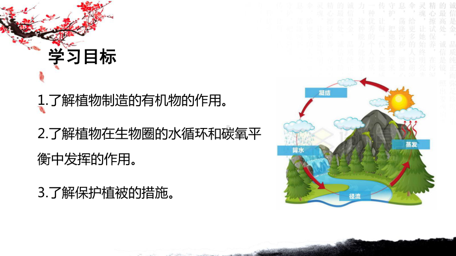 3.2.4植物在自然界中的作用ppt课件 - 2025新人教版七年级下册《生物》.pptx_第2页