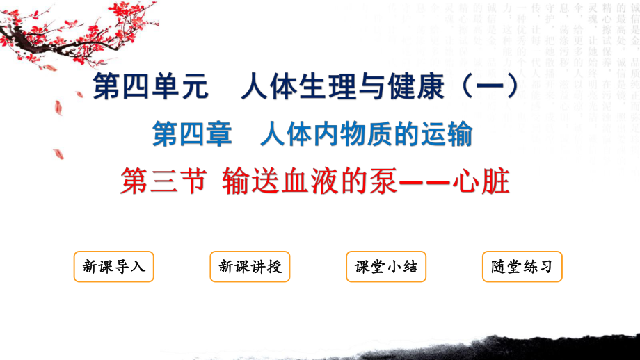 4.4.3 输送血液的泵——心脏ppt课件 - 2025新人教版七年级下册《生物》.pptx_第1页