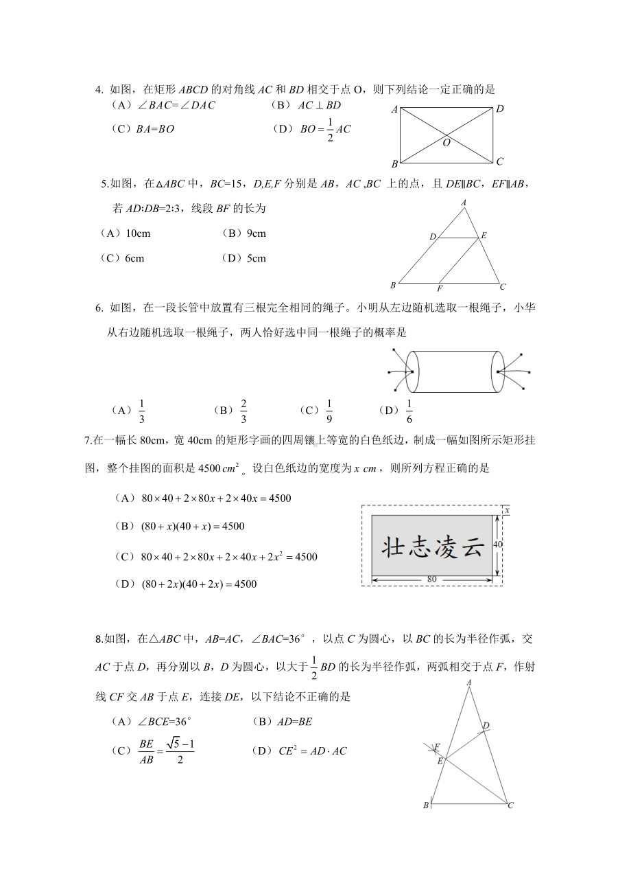 2024-2025学年成都高新区九上数学期末考试试卷（含答案）.docx_第2页