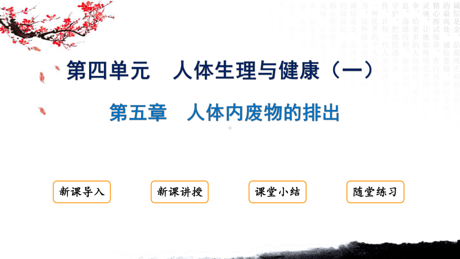 4.5人体内废物的排出ppt课件 - 2025新人教版七年级下册《生物》.pptx_第1页