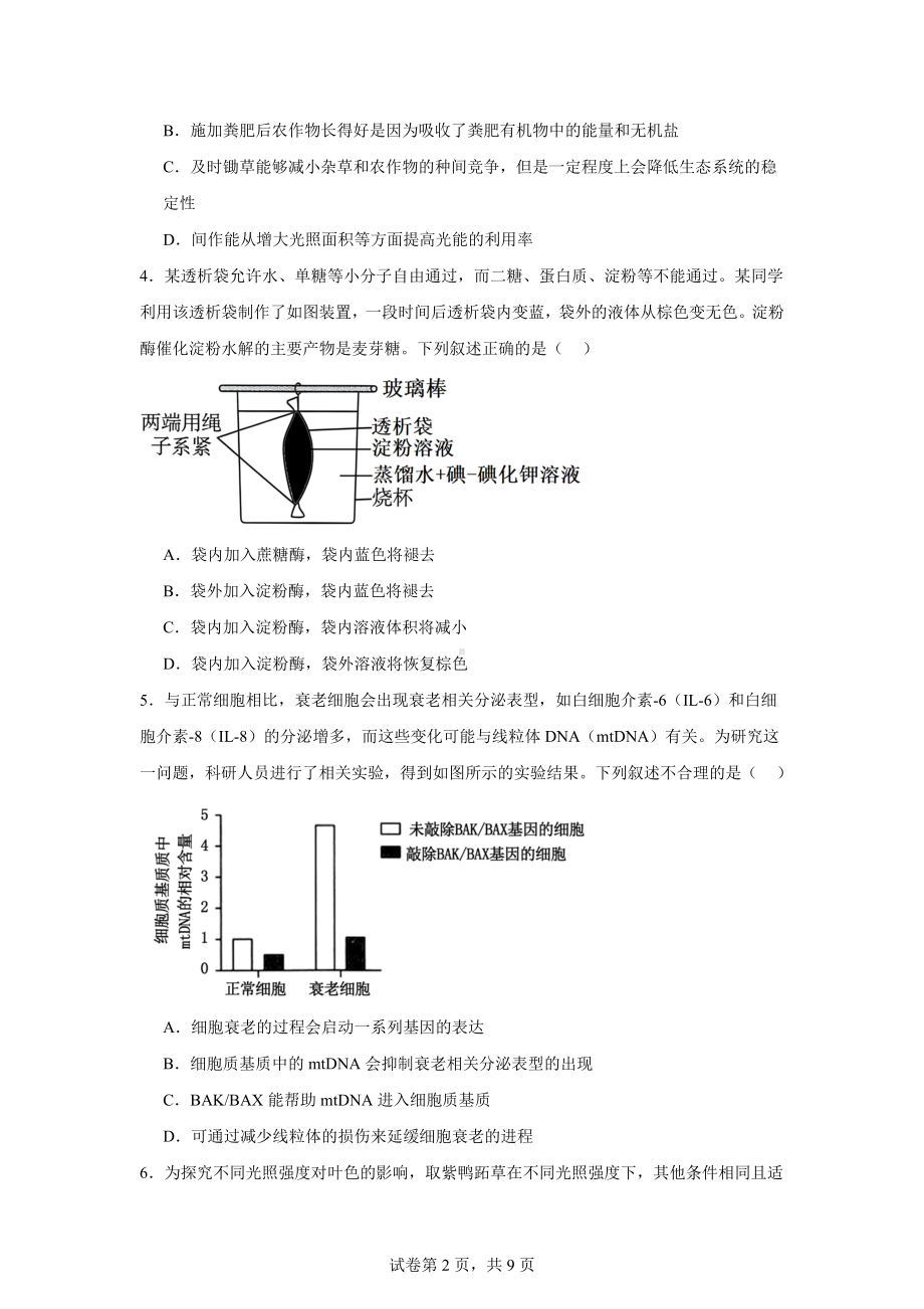 福建省莆田市锦江中学2024-2025学年高三上学期11月期中生物试题.docx_第2页