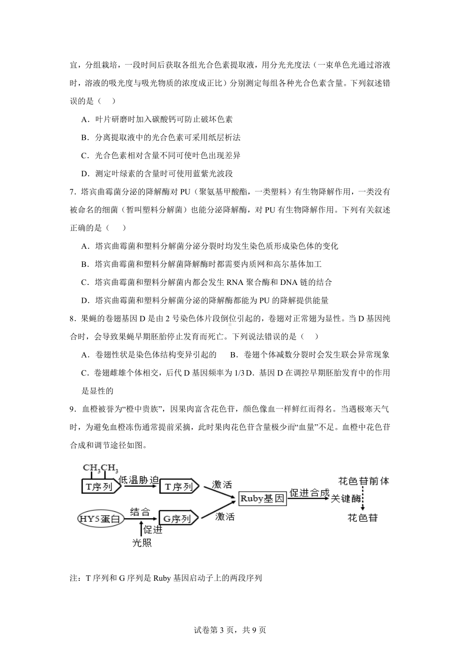 福建省莆田市锦江中学2024-2025学年高三上学期11月期中生物试题.docx_第3页