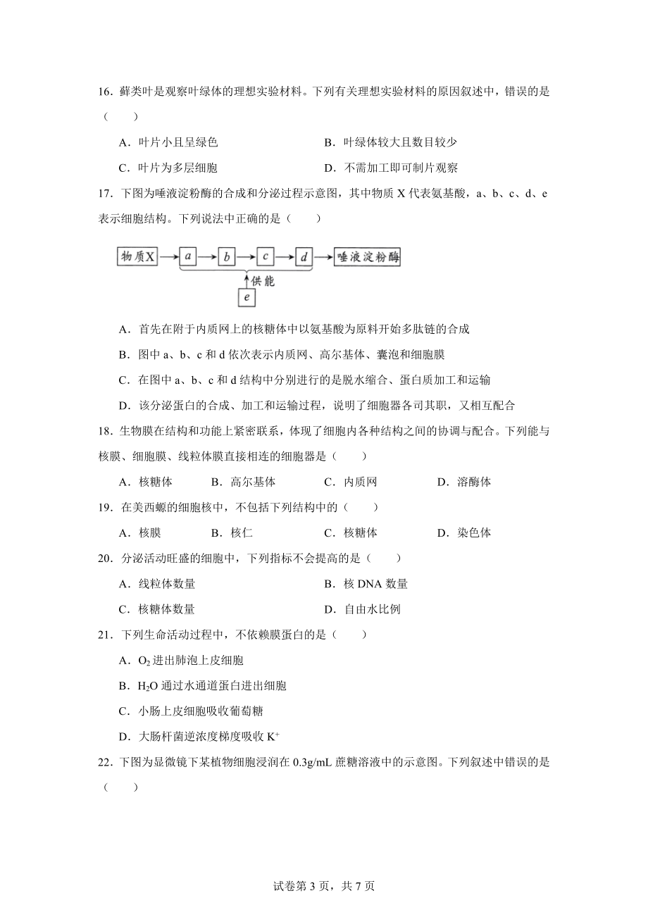 四川省绵阳市2024-2025学年高一上学期11月期中考试生物试题.docx_第3页