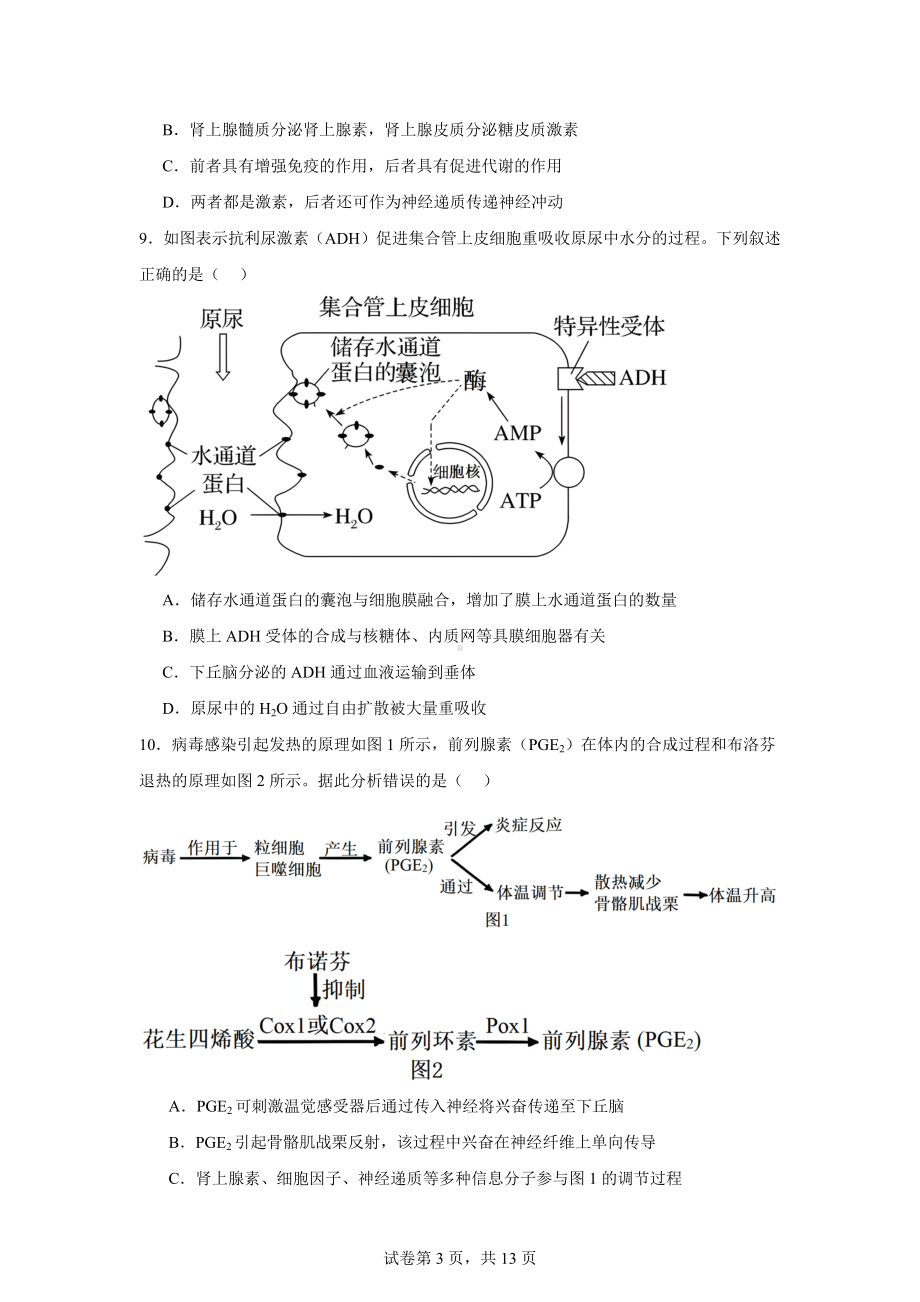 江苏省南通市如皋十四校联考2024-2025学年高三上学期11月期中生物试题.docx_第3页