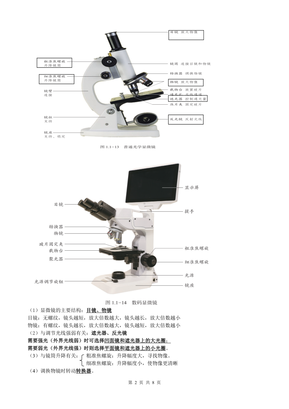 济南版（2024新版）七年级上册生物期末复习知识点学案.docx_第2页