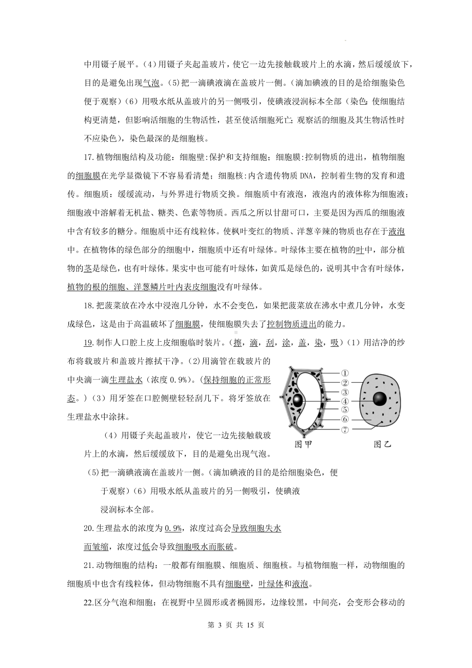 人教版（2024新版）七年级上册生物期末复习知识点学案.docx_第3页