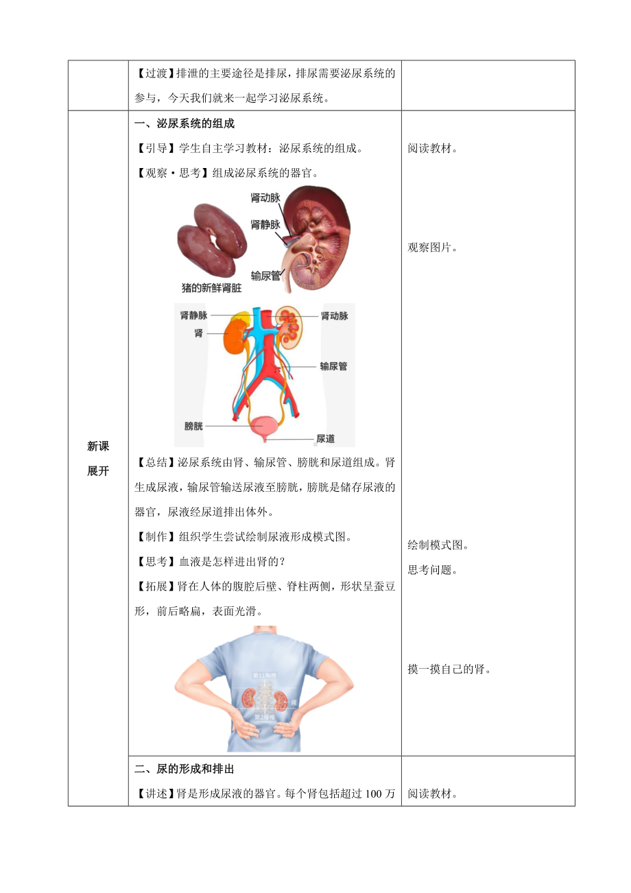 4.5人体内废物的排出（教案）人教版（2025）生物七年级下册.docx_第2页