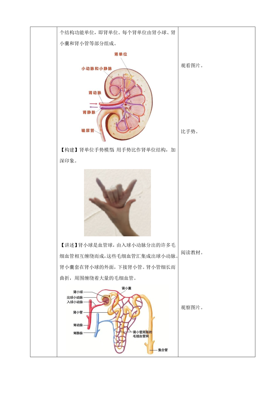 4.5人体内废物的排出（教案）人教版（2025）生物七年级下册.docx_第3页