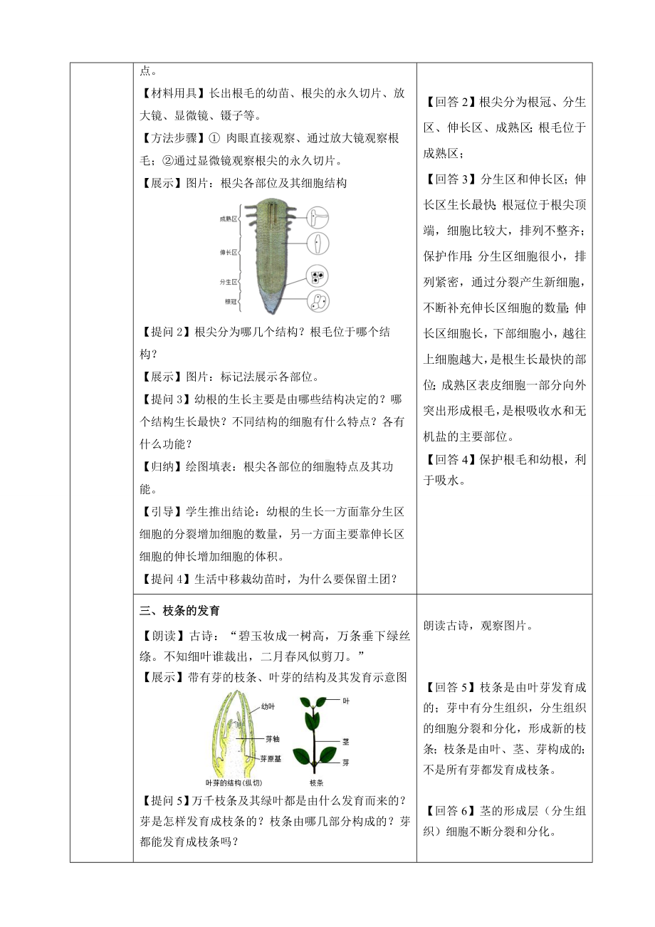 3.1.2植株的生长（教案）人教版（2025）生物七年级下册.docx_第2页