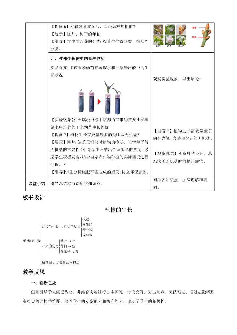 3.1.2植株的生长（教案）人教版（2025）生物七年级下册.docx_第3页