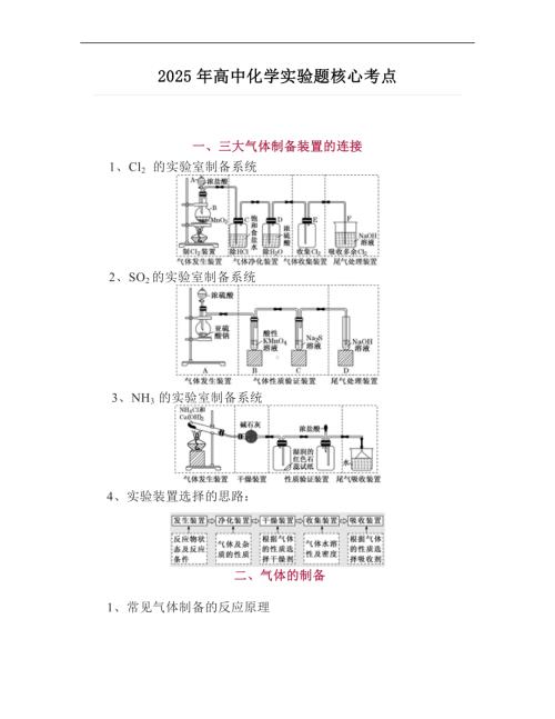 2025年高中化学实验题核心考点.doc